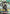 Mina Ashiro (041) (Winner) (UEPR/KJ8-1-041) - Union Arena Promotion Cards Foil