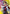 Action Point Card (AP01) (Koenma) (UEPR/YYH-AP01) - Union Arena Promotion Cards