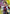 Koenma (049) (UEPR/YYH-1-049) - Union Arena Promotion Cards