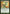 Sundering Vitae [Ravnica: City of Guilds] - Magic: The Gathering - Card Brawlers | Quebec | Canada |