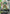 Flit Asuno (GD02 Release Event) (GD02-088) - Gundam Promotional Cards Holofoil