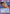Younger Toguro (023) (UEPR/YYH-1-023) - UE13BT Yu Yu Hakusho Ghost Files Release Event Cards
