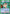 Yukina (059) (UEPR/YYH-1-059) - UE13BT Yu Yu Hakusho Ghost Files Release Event Cards