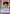 Shiori Minamino (UEPR/YYH-1-086) - UE13BT Yu Yu Hakusho Ghost Files Release Event Cards
