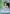 Shizuru Kuwabara (UEPR/YYH-1-106) - UE13BT Yu Yu Hakusho Ghost Files Release Event Cards