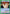 Kazuma Kuwabara (041) (UEPR/YYH-1-041) - UE13BT Yu Yu Hakusho Ghost Files Release Event Cards
