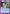 Dr. Ichigaki (UEPR/YYH-1-021) - UE13BT Yu Yu Hakusho Ghost Files Release Event Cards