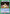 Yusuke Urameshi (036) (UEPR/YYH-1-036) - UE13BT Yu Yu Hakusho Ghost Files Release Event Cards