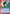 Yusuke Urameshi (069) (UEPR/YYH-1-069) - UE13BT Yu Yu Hakusho Ghost Files Release Event Cards