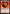 Avatar Roku, Firebender [Avatar: The Last Airbender: Eternal-Legal] - Magic: The Gathering - Card Brawlers | Quebec | Canada |