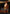 Rites of Flourishing (Borderless) [Avatar: The Last Airbender: Eternal-Legal] - Magic: The Gathering - Card Brawlers | Quebec | Canada |