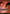 Brought Back (Borderless) [Avatar: The Last Airbender: Eternal-Legal] - Magic: The Gathering - Card Brawlers | Quebec | Canada |
