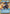 Cad Bane - Impressed Now? (Hyperspace) (298) (298) [Secrets of Power] - Fantasy Flight Games - Card Brawlers | Quebec | Canada |