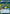 Bardottan Ornithopter (326) (Hyperspace) (326) [Secrets of Power] - Fantasy Flight Games - Card Brawlers | Quebec | Canada |