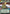Corrupt Politician (343) (Hyperspace) (343) [Secrets of Power] - Fantasy Flight Games - Card Brawlers | Quebec | Canada |