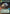 PreMor Personnel Carrier (353) (Hyperspace) (353) [Secrets of Power] - Fantasy Flight Games - Card Brawlers | Quebec | Canada |