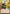 Cikatro Vizago - Business is What Matters (Hyperspace) (482) (482) [Secrets of Power] - Fantasy Flight Games - Card Brawlers | Quebec | Canada |