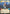 Synara San - Harboring a Secret (Hyperspace) (489) (489) [Secrets of Power] - Fantasy Flight Games - Card Brawlers | Quebec | Canada |