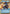 Cad Bane - Impressed Now? (Hyperspace Foil) (790) (790) [Secrets of Power] - Fantasy Flight Games - Card Brawlers | Quebec | Canada |