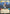 Synara San - Harboring a Secret (Hyperspace Foil) (981) (981) [Secrets of Power] - Fantasy Flight Games - Card Brawlers | Quebec | Canada |