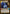 Grand Admiral Thrawn - Grand Schemer (Finalist) (35) (35) [Organized Play Promos] - Fantasy Flight Games - Card Brawlers | Quebec | Canada |