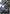 A New Sign (Newtype Challenge 2025 Mission 2) (GD02-117) - Gundam Promotional Cards Holofoil