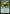 Bumi's Feast Lecture [Avatar: The Last Airbender: Eternal-Legal] - Magic: The Gathering - Card Brawlers | Quebec | Canada |