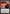 Fire Nation Salvagers (Extended Art) [Avatar: The Last Airbender: Eternal-Legal] - Magic: The Gathering - Card Brawlers | Quebec | Canada |