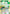 Yusuke Urameshi (038) (Winner) (UEPR/YYH-1-038) - Union Arena Promotion Cards Foil