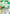 Yusuke Urameshi (038) (UEPR/YYH-1-038) - Union Arena Promotion Cards Foil