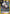 Modernia (019) (UE14BT/NIK-1-019) - UE14BT GODDESS OF VICTORY NIKKE Foil