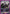 Modernia (059) (UEPR/NIK-1-059) - UE14BT GODDESS OF VICTORY NIKKE Release Event Cards