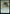 Might of Old Krosa [Time Spiral Remastered] - Magic: The Gathering - Card Brawlers | Quebec | Canada |