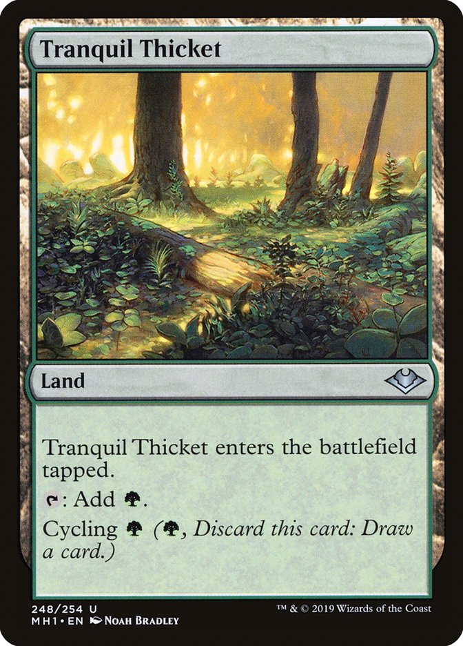 Tranquil Thicket [Modern Horizons] - Magic: The Gathering - Card Brawlers | Quebec | Canada |
