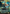 Derevi, Empyrial Tactician (Borderless) [Bloomburrow Commander] - Magic: The Gathering - Card Brawlers | Quebec | Canada |