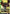 Gundam Deathscythe Hell (Store Tournament Participant Pack 03) (GD03-021) - Gundam Promotional Cards Holofoil