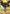 Gundam Deathscythe Hell (Store Tournament Winner Pack 03) (GD03-021) - Gundam Promotional Cards Holofoil