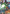 Aile Strike Gundam (Store Tournament Winner Pack 03) (GD03-072) - Gundam Promotional Cards Holofoil