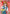 Asuka Shikinami Langley (Winner) (UEPR/EVA-1-010) - Union Arena Promotion Cards Foil