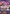 Perona - OP06-093 (SP) (OP06-093) - The Azure Sea's Seven Foil