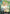 Miss.Valentine(Mikita) (Dash Pack) (OP14-087) - The Azure Sea's Seven Foil