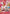 Uta (003) (SP) (EB03-003) - Extra Booster: One Piece Heroines Edition Foil