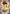 Misato Katsuragi (008) (R*) (UE15BT/EVA-1-008) - UE15BT Evangelion New Theatrical Edition Foil