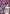 Evangelion Production Model-08 (UE15BT/EVA-1-042) - UE15BT Evangelion New Theatrical Edition Foil