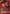Evangelion Production Model-02 (UE15BT/EVA-1-081) - UE15BT Evangelion New Theatrical Edition Foil