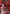Evangelion Production Model-02 (Beast Form) (UE15BT/EVA-1-082) - UE15BT Evangelion New Theatrical Edition Foil