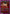 Asuka Shikinami Langley (113) (UE15ST/EVA-1-113) - UE15ST Evangelion New Theatrical Edition Starter Deck
