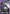 Gundam Hajiroboshi (GD03-068) - Steel Requiem