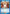 Silica (017) (UEX06BT/SAO-2-017) - UEX06BT Sword Art Online Vol2