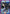 Kirito (049) (UEX06BT/SAO-2-049) - UEX06BT Sword Art Online Vol2 Foil